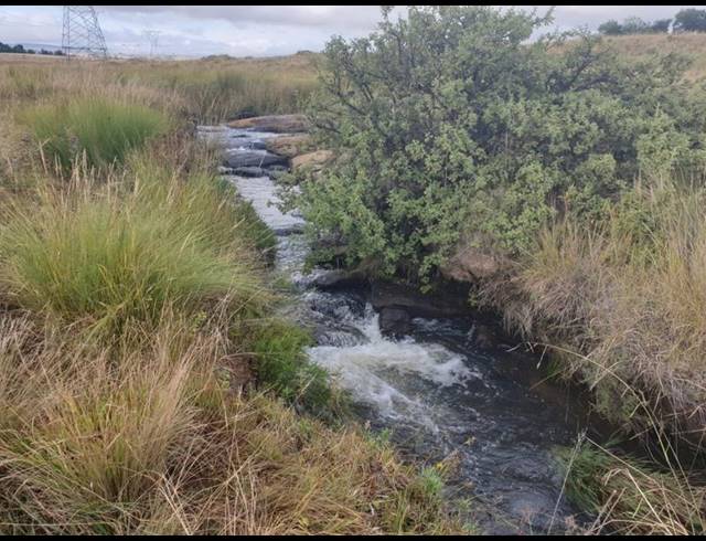 FARM FOR SALE IN ROOSSENEKAL AH